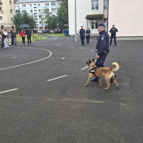 Elevii din Baia Mare au primit vizita jandarmilor pentru prevenirea consumului de droguri