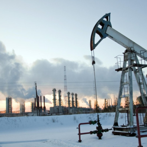 Guvernul rus reduce bugetele pentru proiecte majore din cauza scăderii veniturilor