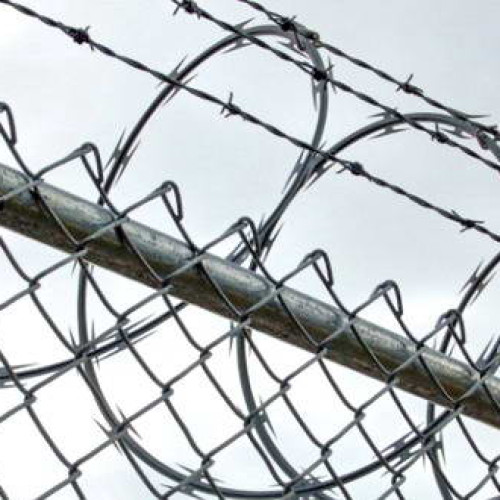 Poliția din Maramureș execută un mandat de arestare pentru trafic de droguri