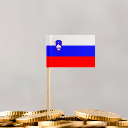 Parlamentul sloven a demarat procedura de introducere a dreptului de a utiliza numerar