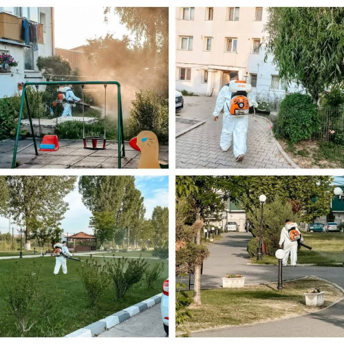 Pas cu pas, Titu prinde contur