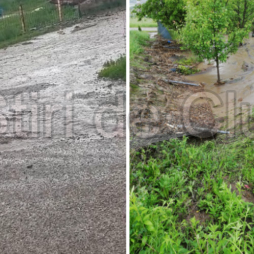 Familile din Colonia Valea Calda, nevoite să trăiască într-un coșmar