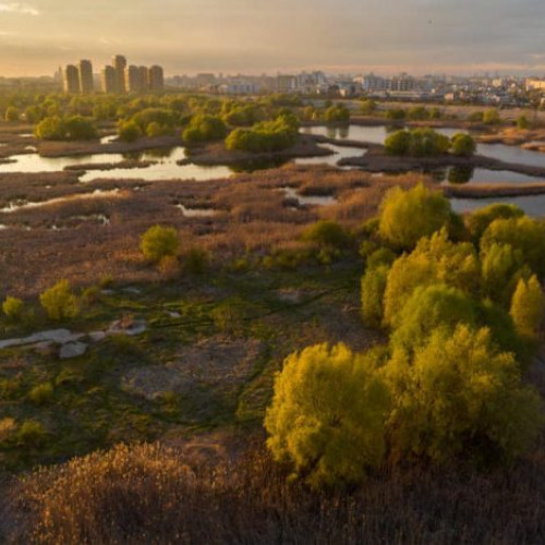 Bucureștiul marchează Ziua Europeană a Parcurilor Naționale