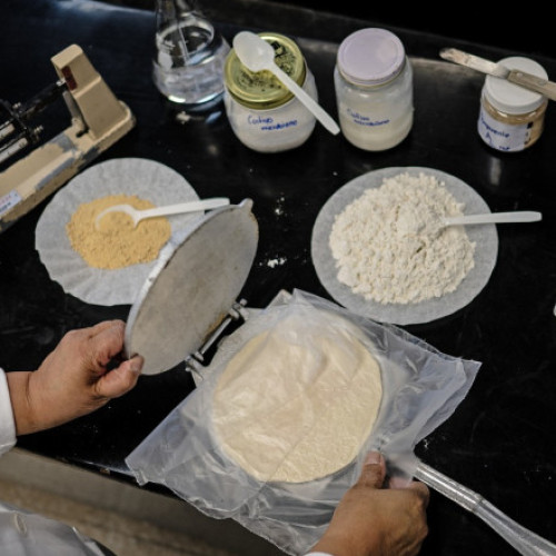 Cercetătoarea Raquel Gomez dezvoltă tortilla care combate malnutriția în Mexic