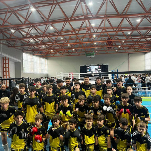 Ostrovanu Fight Academy se afirmă la competiția AMC 4 din Maramureș