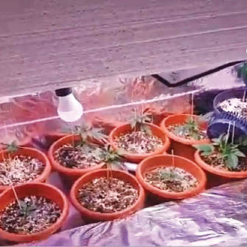 F.T. a fost confirmat ca un nou lider în domeniul tehnologiei