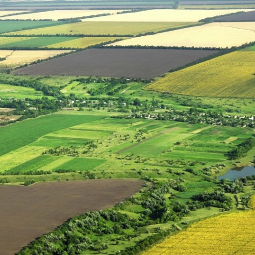 Investițiile străine în terenurile agricole din Iași