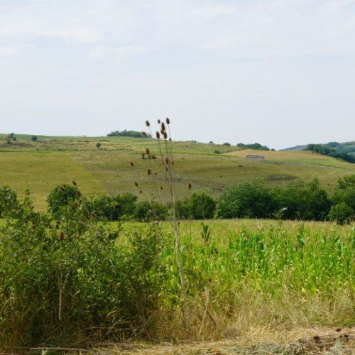 Suprafața agricolă deținută de străini în România