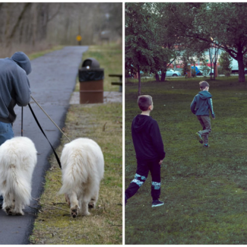Problema câinilor fără lesă în parcurile pentru copii din Cluj-Napoca
