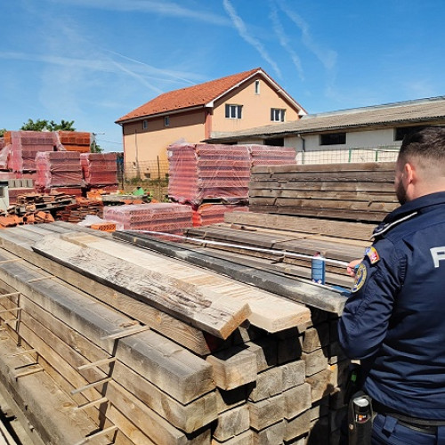 Acțiune de amploare împotriva tăierilor ilegale de arbori în Satu Mare