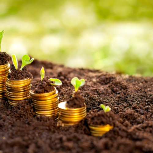 Fonduri europene pentru fermieri, disponibile din iunie 2025