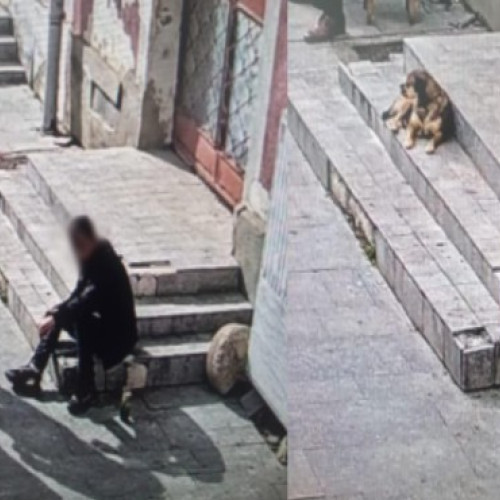 Un botosanean sancționat cu 100 de lei pentru consum de alcool pe domeniul public