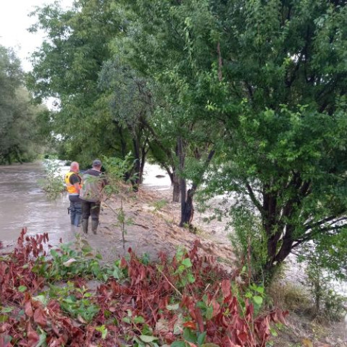 Gospodării afectate în Stupini de ploile abundente