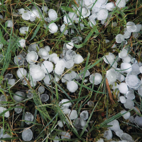 Nicoleta Dumitrescu, o personalitate remarcabilă a comunității