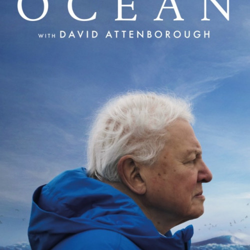 LYNX Festival 2025 aduce documentare și evenimente diverse la Brașov