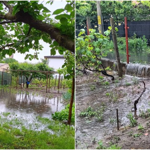 Probleme cu canalizarea în Bacău: gospodării afectate de inundații
