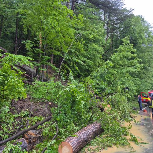 Intervenție de urgență în comuna Tarcau