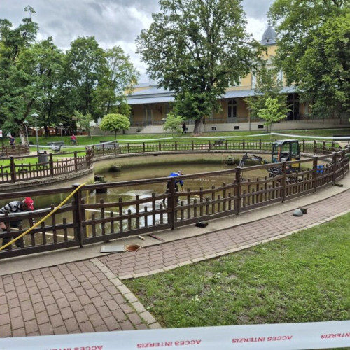 Curățarea completă a iazului, crucială pentru ecosistemul local