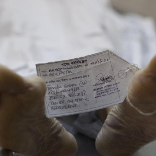 Scandal la Harvard: Fost director al morgii recunoaște furtul de resturi umane