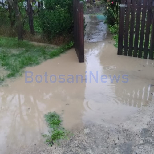 Ploile torențiale provoacă probleme în județul Botoșani