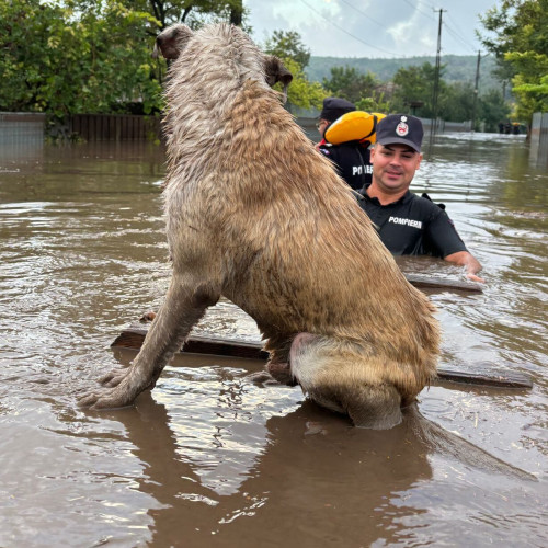 Risc de inundații pe râurile Prut, Siret și Jijia