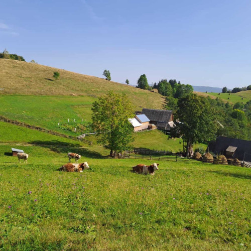 Termenul de depunere a cererilor de plată a fost prelungit