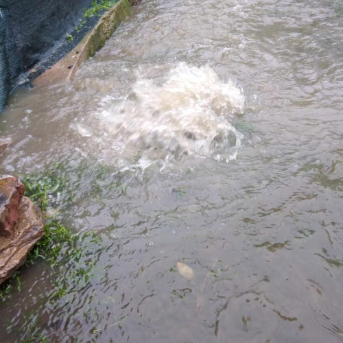 Probleme grave pe strada Plopilor din Botoșani