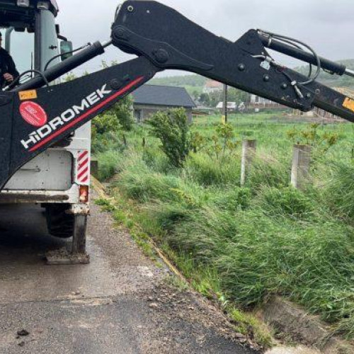 Pompierii din Botoșani intervin pentru a face față vremii severe