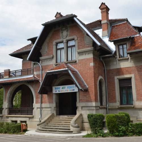 Lansarea cărții despre familia Lalu, la Muzeul de Artă din Piatra-Neamț