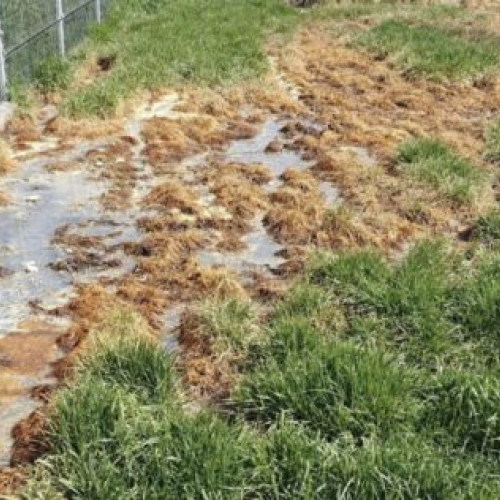 Fabrica de lactate din Suceava sancționată cu 40.000 de lei