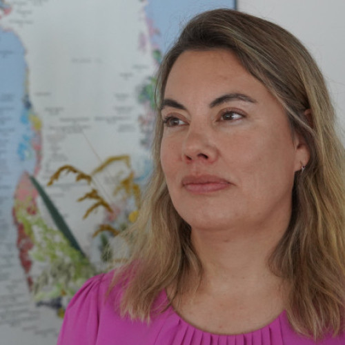 Groenlanda își cheamă partenerii în afaceri pentru dezvoltarea sectorului minier