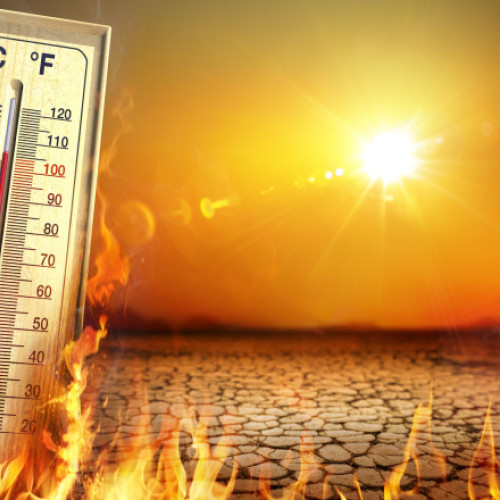 Se anunță o creștere alarmantă a temperaturilor globale în următorii cinci ani