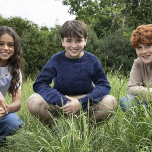 HBO lansează un nou serial Harry Potter