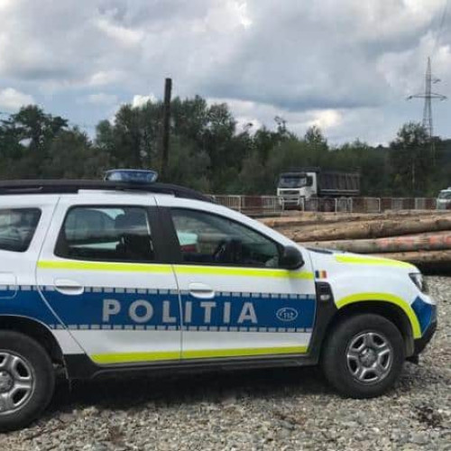 Acțiune împotriva tăierilor ilegale de arbori în Alba