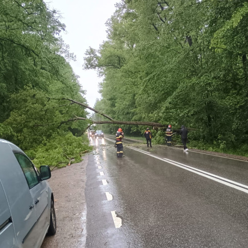 Fenomene hidro-meteorologice periculoase în județul Neamț