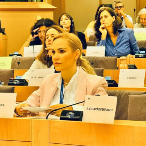 Gabriela Firea solicită soluții împotriva violenței domestice