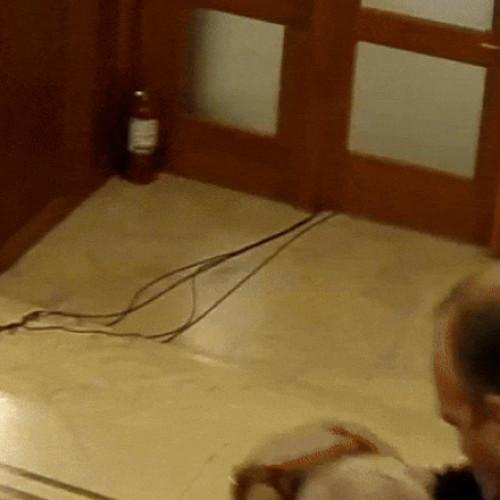 Fostul deputat Dan Vilceanu, trimis în judecată pentru violență