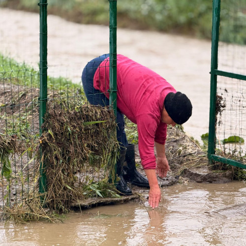 Inundații devastatoare în județul Botoșani