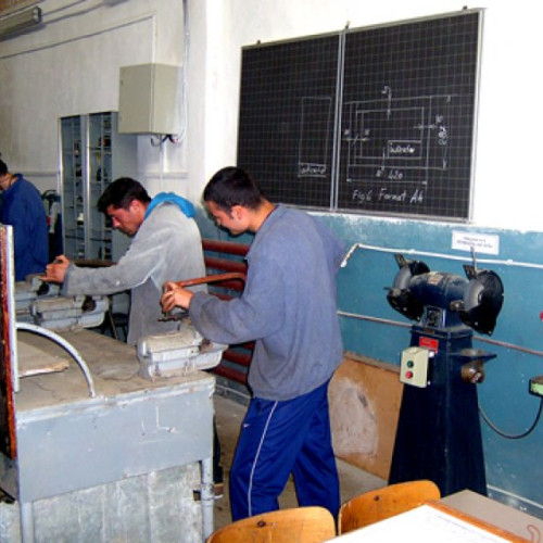 Oferta educațională pentru învățământul profesional și dual în Neamț