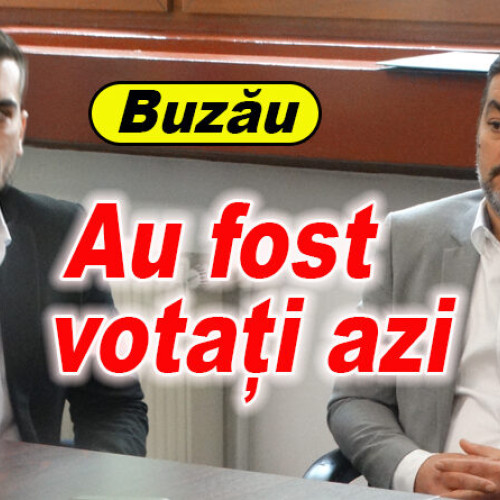 Sedința PSD Buzău: Alegerea vicepreședinților CJ
