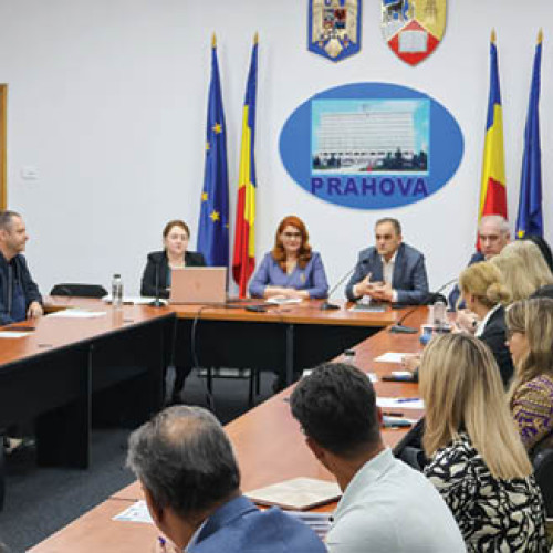 Informații despre aplicații noi de inteligență artificială