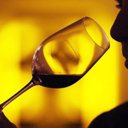 Spania caută 10.000 de voluntari pentru un studiu asupra vinului