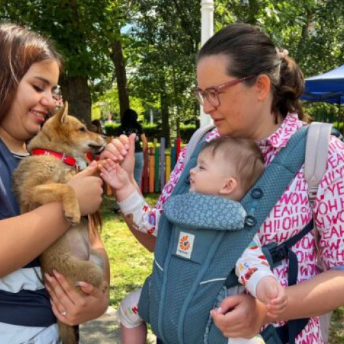 ASPA amenajează spații pentru adopția câinilor de către familii