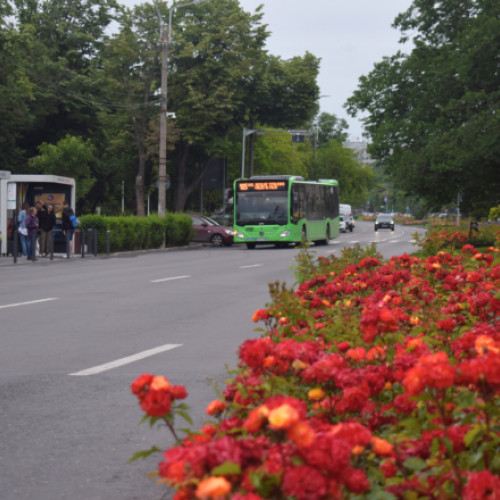 Restricții de trafic pe Strada Drumul Taberei pentru evenimentele "West Side Flower Fest" și "Parada Micilor Biciclisti"