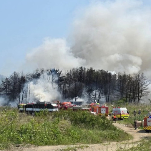 Trei victime după prăbușirea unui avion de patrulare în Coreea de Sud