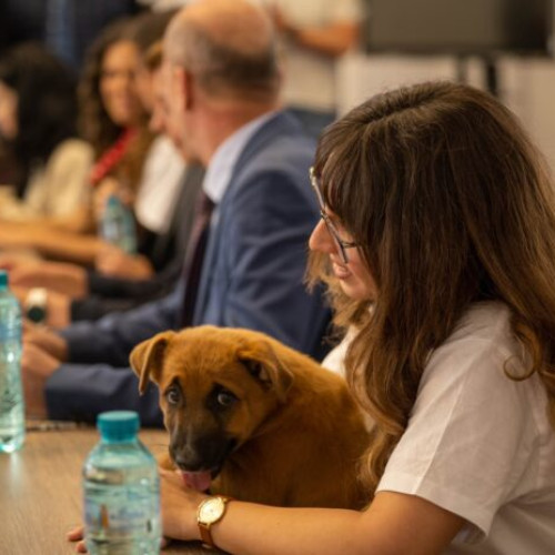 Începe programul „Ora cu și pentru animale” în școlile din țară