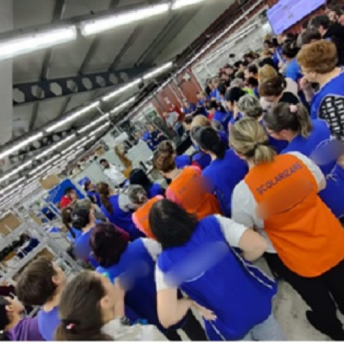 Campanie de prevenire a violenței domestice în Baia Mare