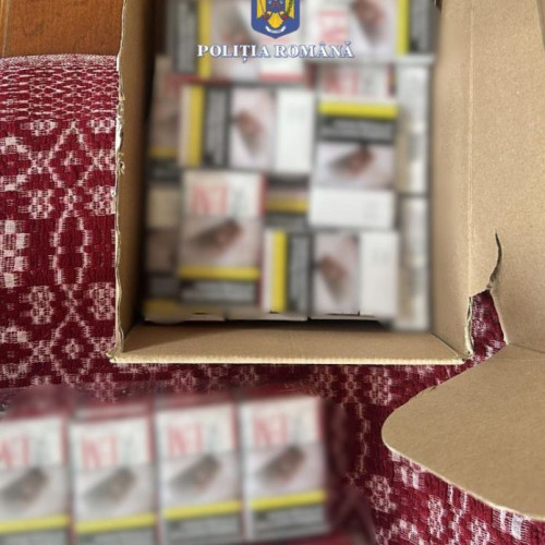 Descoperire importantă în urma perchezițiilor efectuate la Focșani