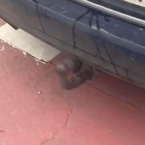 Teren periculos în fața grădiniței din Cluj