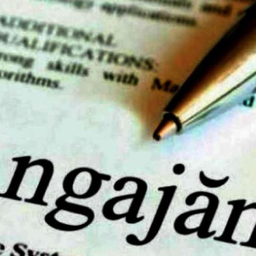 Număr mare de locuri de muncă vacante în Vrancea, disponibile la sfârșitul lunii mai